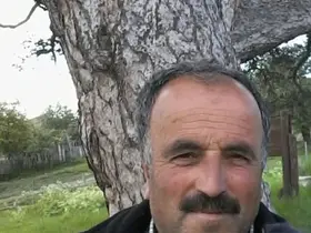 Üzerine ağaç devrilen vatandaş hayatını kaybetti
