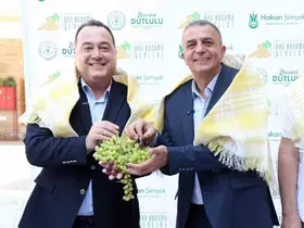 Üzümün başkentinde Bağbozumu Şenlikleri yeniden başlıyor
