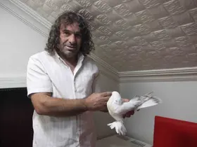 Uzun yol şoförünün sıradışı güvercin sevdası: 6 güvercininin toplam değeri 700 bin TL
