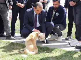 Vali Taşolar, Iğdır Geçici Hayvan Bakımevi’ni ziyaret etti
