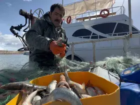 Van Gölü’nde inci kefali için av yasağı: Kaçak avlanmanın cezası 16 bin TL
