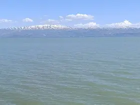 Van Gölü’nde yüzmek yasaklandı
