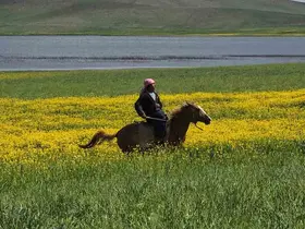 Van’da bir yanda çiçekler, diğer yanda metrelerce kar
