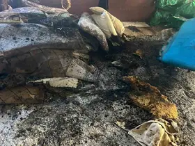 Van’da ev yangını
