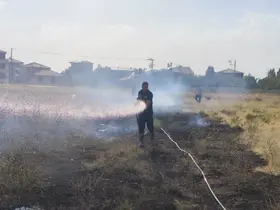 Van’da örtü üstü yangın
