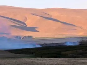 Van’daki Çırak Sazlığı’nda yangın çıktı
