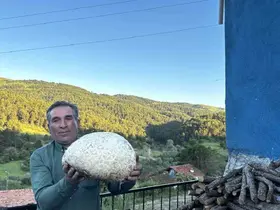 Vatandaşın bulduğu 5 kiloluk mantar şaşırttı
