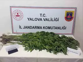 Yalova’da uyuşturucu operasyonu: 3 gözaltı
