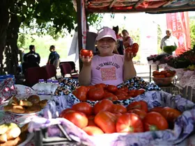 ’Yamanlar Tarla Domatesi’ üreticileri ’Tarla Günü’ etkinliğinde buluştu

