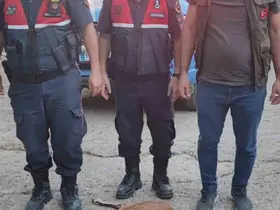 Yaralı dağ keçisini jandarma kurtardı

