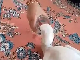 Yaralı leyleğe sahip çıktı
