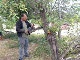 Yarımca Köyü muhtarından örnek davranış
