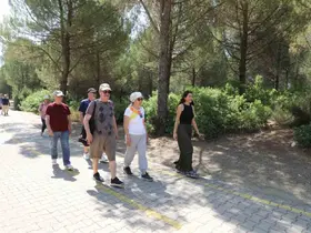 Yaş alan büyükler hayata hareketle bağlanıyor
