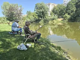 Yaşlı adam betonlaşmadan kaçıp su kenarına sığınıyor
