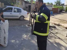 Yatak odasında çığlık attıran görüntü
