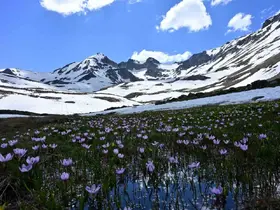 Yaz ortasında kışın hüküm sürdüğü eşsiz coğrafya: Artabel

