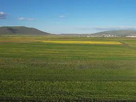 Yazın renk cümbüşüne bürünen Ardahan ovası havadan görüntülendi
