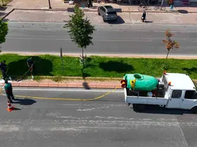 Yeşil alanlarda hastalık ve zararlılara karşı mücadele sürüyor
