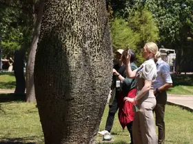 Yeşil Bayraklı Atatürk Kültür Parkı hayran bıraktı
