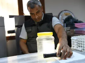 Yeşil vatanın sessiz koruyucuları laboratuvarda yetiştiriliyor
