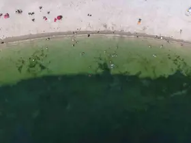 Yeşilköy sahilinde kirlilik alarmı
