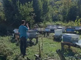 Yığılca’da arılı kovan sayımı yapıldı
