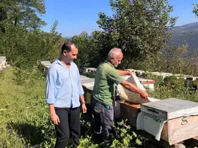 Yığılca’da arılı kovan tespit çalışması
