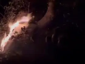 Yıldırım isabet eden asırlık ağaç alev aldı
