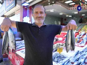 Yıllardır böylesi görülmedi: Karadeniz’den palamut fışkırıyor
