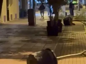Yol kenarındaki saksıları devirerek yürüdü
