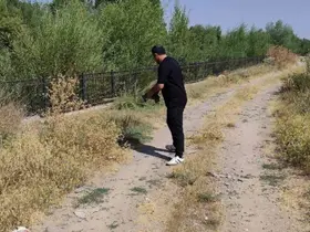 Yoldaki kaplumbağayı duyarlı vatandaş kurtardı

