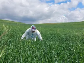 Yozgat’ta süne mücadelesi başladı
