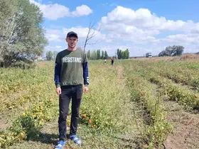 Yozgat’ta üniversite öğrencisi, ürettiği domatesleri tarlasında tüketicilerle buluşturuyor
