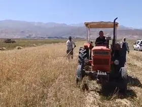 Yüksekova’da sıcak havaya rağmen çiftçilerin hasat mesaisi başladı
