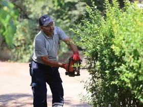 Yunusemre Belediyesinden yeşil alanlarda düzenleme
