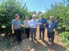 Yüreğir’de dolu afeti: Yaklaşık 35 bin dönüm tarım alanı zarar gördü
