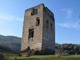 Yüzyıllara direndi, duyarsızlığa yenildi
