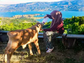 Zehra’nın hayvan sevgisi sosyal medyada ilgi odağı oldu
