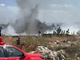 Zeytinlik alanda çıkan yangın korkuttu
