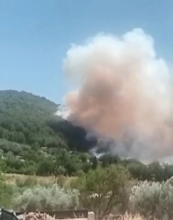 Fethiye’de orman yangını