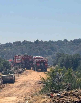 Gaziantep’te orman yangını: Ekiplerin müdahalesi sürüyor