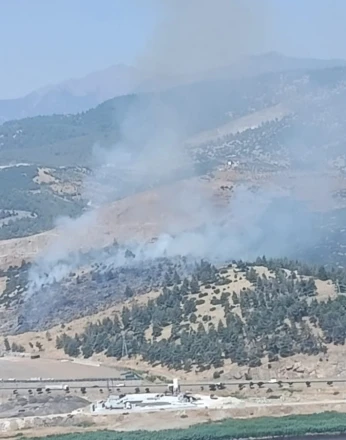 Kahramanmaraş’ta orman yangını