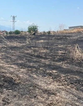 Otluk alanda çıkan yangın büyümeden söndürüldü