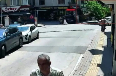 150 yıllık çınar böyle devrildi 