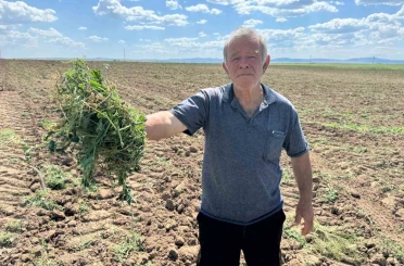 3 bin 500 dönümlük tarım arazisinin 2 ayrı kişiye kiralandığı iddiası 