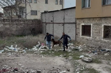 3 yaşındaki çocuğuna köpek saldıran baba: "Köpeğin çocuğumuzu bırakması için çok uğraştık" 