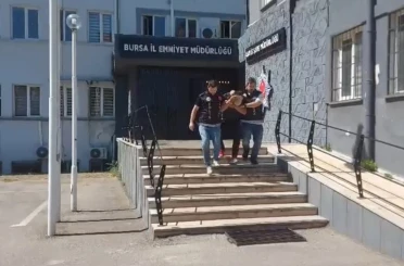 33 yıl hapis cezasıyla aranıyordu, polisten kurtulmak için kayısı topluyormuş gibi yaptı 