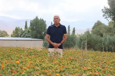 35 yıl kamuda çalıştı, emekli olunca aspir ekimine başladı
