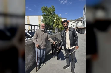 70 kiloluk dev keçi 36 bin liraya satıldı 