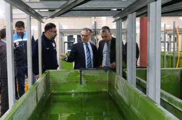 Abant Gölü’ne 100 bin endemik Abant alası bırakıldı 